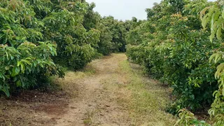 Fazenda / Sítio / Chácara à venda, 2137828m² no Zona Rural, Turvolândia - Foto 10