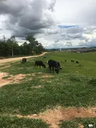 Fazenda / Sítio / Chácara com 3 Quartos à venda, 450m² no Chácaras Luzitana, Hortolândia - Foto 19