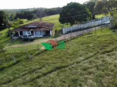 Fazenda / Sítio / Chácara com 3 Quartos à venda, 70000m² no Povoado, Pedras de Fogo - Foto 6