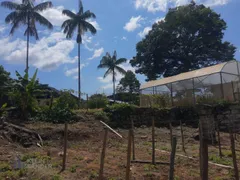 Fazenda / Sítio / Chácara com 4 Quartos à venda, 45000m² no Chacara Paraiso, Nova Friburgo - Foto 21