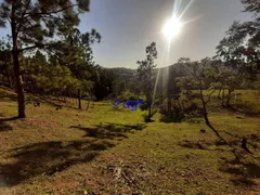 Fazenda / Sítio / Chácara com 4 Quartos à venda, 2000m² no São Roque, São Roque - Foto 18