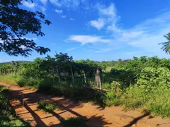 Fazenda / Sítio / Chácara com 3 Quartos à venda, 90000m² no Zona Rural, Glória do Goitá - Foto 10