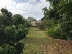 Fazenda / Sítio / Chácara com 3 Quartos à venda, 400m² no Area Rural de Limeira, Limeira - Foto 11
