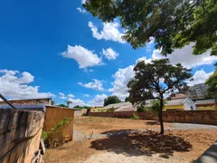 Terreno / Lote / Condomínio para venda ou aluguel, 1000m² no Jardim Atlântico, Belo Horizonte - Foto 2