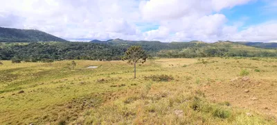 Hotel / Motel / Pousada à venda, 200000m² no Centro, São Joaquim - Foto 44