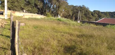 Terreno / Lote / Condomínio com 1 Quarto à venda, 600m² no Campina do Taquaral, São José dos Pinhais - Foto 7