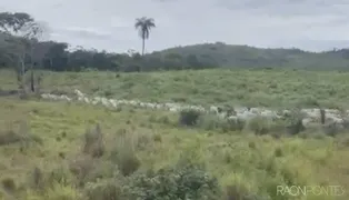 Fazenda / Sítio / Chácara com 30 Quartos à venda, 11470800m² no Rural, Paranã - Foto 3