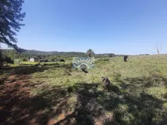 Fazenda / Sítio / Chácara à venda, 169400m² no Cipó do Meio, São Paulo - Foto 19