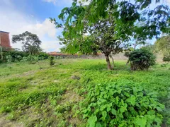 Terreno / Lote / Condomínio para alugar, 2000m² no Passaré, Fortaleza - Foto 8