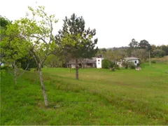 Fazenda / Sítio / Chácara com 7 Quartos à venda, 430m² no Estancia Grande, Viamão - Foto 15