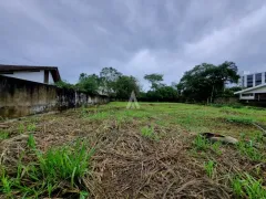 Terreno / Lote / Condomínio para alugar, 2210m² no Anita Garibaldi, Joinville - Foto 8