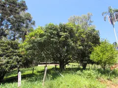 Fazenda / Sítio / Chácara com 1 Quarto à venda, 150000m² no Rural, Extrema - Foto 31