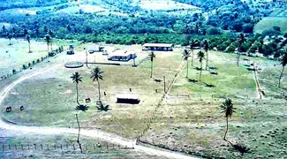 Fazenda / Sítio / Chácara com 3 Quartos à venda, 487000m² no Centro, Indiaroba - Foto 4