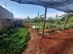 Fazenda / Sítio / Chácara com 4 Quartos à venda, 450m² no Centro, Mandaguaçu - Foto 9