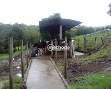 Fazenda / Sítio / Chácara com 6 Quartos à venda, 11m² no , Alpinópolis - Foto 15