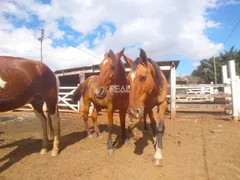 Fazenda / Sítio / Chácara com 7 Quartos para alugar, 200m² no Suzana, Brumadinho - Foto 26