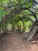 Fazenda / Sítio / Chácara com 5 Quartos à venda, 300m² no Parque da Grama, Indaiatuba - Foto 54