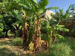 Terreno / Lote / Condomínio à venda, 240m² no Ipiranga, Ribeirão Preto - Foto 6