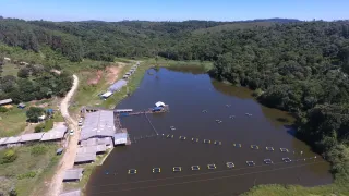 Fazenda / Sítio / Chácara à venda, 10817m² no , Bocaiúva do Sul - Foto 4