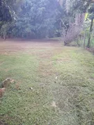 Fazenda / Sítio / Chácara à venda, 10000m² no Zona Rural, Bonfinópolis - Foto 3