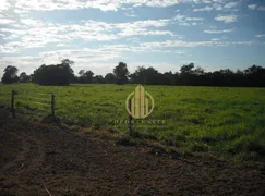 Fazenda / Sítio / Chácara com 3 Quartos à venda, 210000000m² no Centro, Nova Xavantina - Foto 11