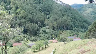 Terreno / Lote / Condomínio à venda no , Anitápolis - Foto 6