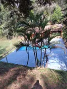 Fazenda / Sítio / Chácara com 3 Quartos à venda, 24200m² no Chacara Boa Vista Palmeiras, Suzano - Foto 1