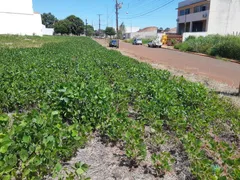 Terreno / Lote / Condomínio com 1 Quarto à venda, 1m² no Columbia, Londrina - Foto 3