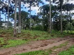 Terreno / Lote / Condomínio à venda no Contenda, São José dos Pinhais - Foto 12