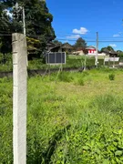 Terreno / Lote / Condomínio à venda, 240m² no Itoupava Norte, Blumenau - Foto 3