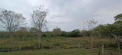 Fazenda / Sítio / Chácara com 4 Quartos à venda no Centro, Jangada - Foto 11