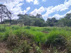 Terreno / Lote / Condomínio à venda, 5000m² no Chácaras Buritis, Goiânia - Foto 5