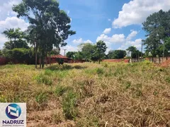 Fazenda / Sítio / Chácara com 1 Quarto à venda, 3808m² no Centro Engenheiro Schmitt, São José do Rio Preto - Foto 4
