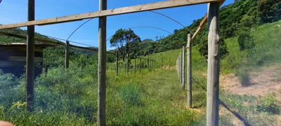 Fazenda / Sítio / Chácara à venda, 530000m² no , Anitápolis - Foto 18