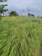 Fazenda / Sítio / Chácara com 4 Quartos à venda, 40000m² no Zona Rural, Monte Alegre - Foto 14