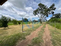 Fazenda / Sítio / Chácara com 3 Quartos à venda, 290m² no Zona Rural, São Sebastião do Oeste - Foto 2