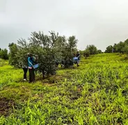 Terreno / Lote / Condomínio à venda, 400000m² no , Encruzilhada do Sul - Foto 7