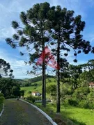 Fazenda / Sítio / Chácara com 7 Quartos à venda, 1800m² no Centro, Cunha - Foto 20