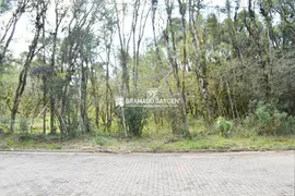 Terreno / Lote / Condomínio à venda, 420m² no Carniel, Gramado - Foto 3