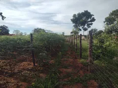 Fazenda / Sítio / Chácara com 3 Quartos à venda, 5000m² no Area Rural do Paranoa, Brasília - Foto 20