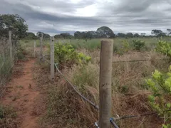 Fazenda / Sítio / Chácara com 3 Quartos à venda, 20000m² no Area Rural do Paranoa, Brasília - Foto 22