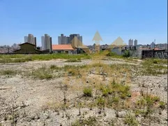 Terreno / Lote / Condomínio para alugar, 5000m² no Vila Tolstoi, São Paulo - Foto 4