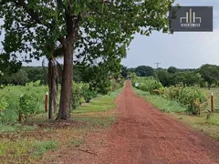 Fazenda / Sítio / Chácara à venda, 21000000m² no Zona Rural, Nossa Senhora do Livramento - Foto 13