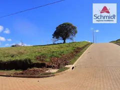 Terreno / Lote / Condomínio à venda, 282m² no Arroio da Manteiga, São Leopoldo - Foto 9