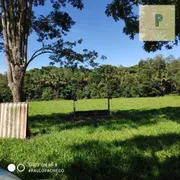 Terreno / Lote / Condomínio à venda, 1007m² no Centro, Aragoiânia - Foto 37