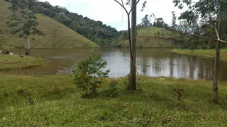 Fazenda / Sítio / Chácara com 2 Quartos à venda, 240000m² no Pouso Alto, Natividade da Serra - Foto 5