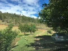 Fazenda / Sítio / Chácara com 3 Quartos à venda, 48000m² no Fazenda Palao Alpes de Guararema, Guararema - Foto 4