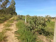 Terreno / Lote / Condomínio à venda, 160000m² no Zona Rural, Passa Tempo - Foto 4