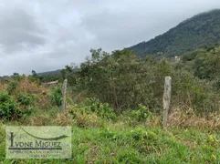 Terreno / Lote / Condomínio à venda, 2177m² no Sertaozinho, Miguel Pereira - Foto 1