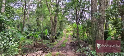 Fazenda / Sítio / Chácara com 3 Quartos à venda, 90m² no Zona Rural, José Bonifácio - Foto 34